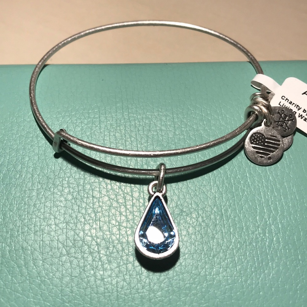 NWT Alex and Ani Living Water Charm Bangle NWT